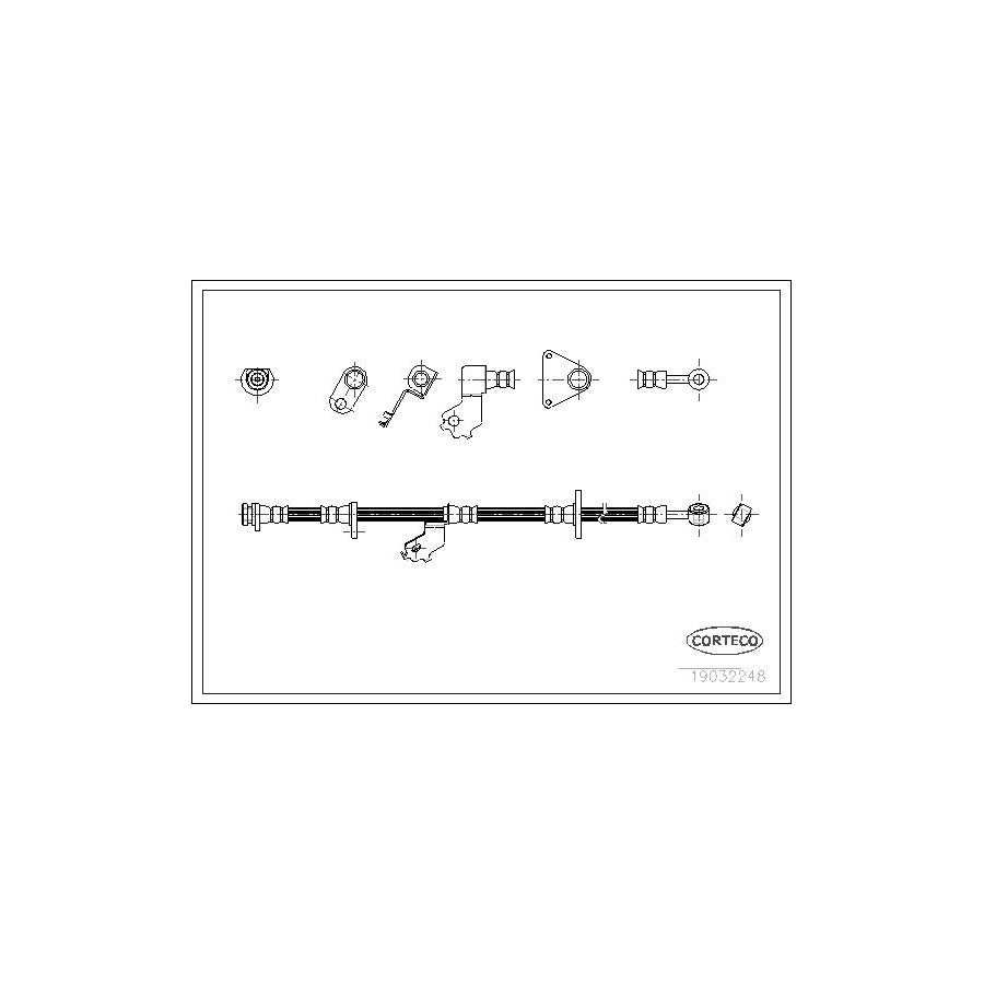 Corteco 19032248 Brake Hose | ML Performance UK