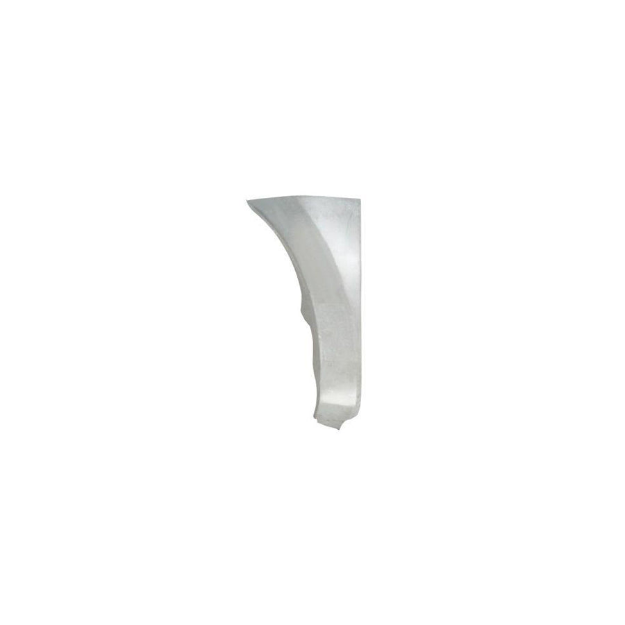 Blic 4747-01-055361P Wing Fender