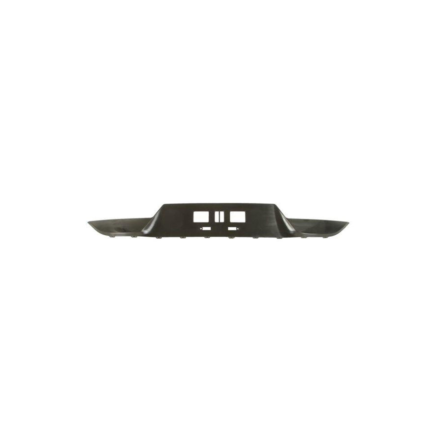 Blic 6502-07-3170970P Bumper Moulding