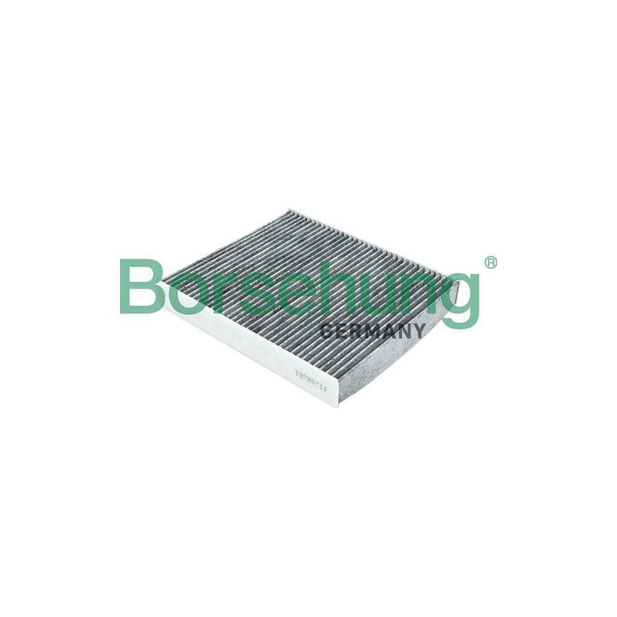 Borsehung B18017 Pollen Filter