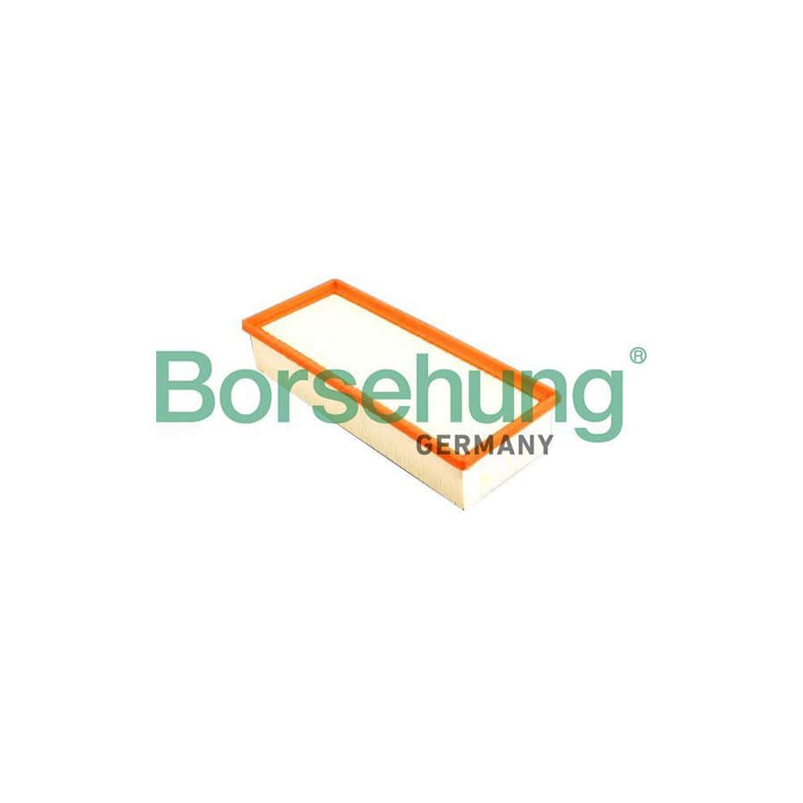 Borsehung B18014 Air Filter