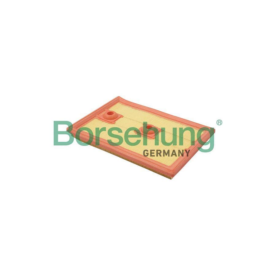 Borsehung B18013 Air Filter