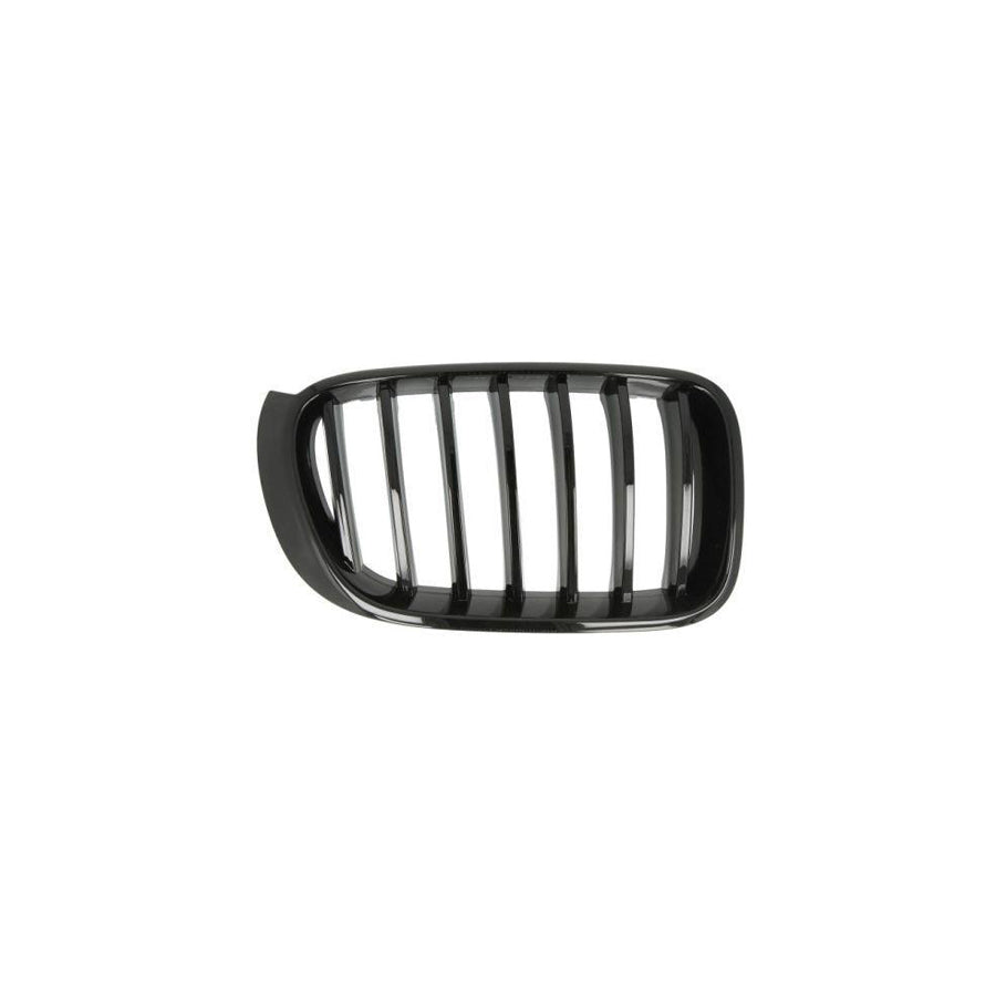 Blic 6502-07-00939988P Radiator Grille