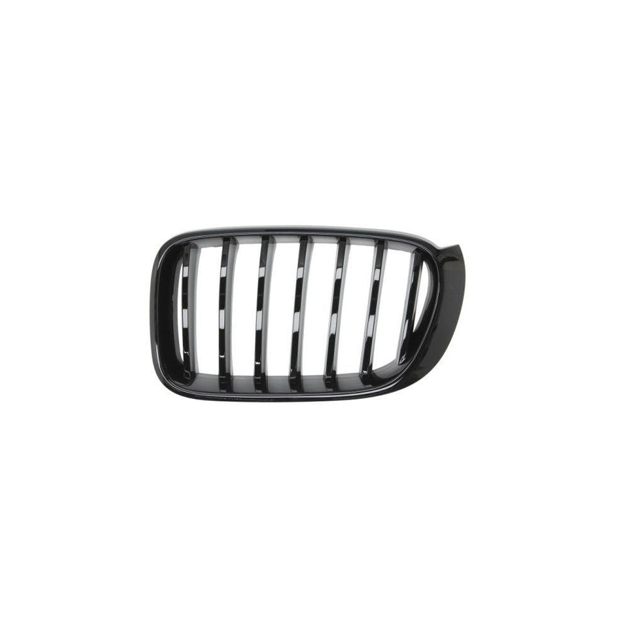 Blic 6502-07-00939977P Radiator Grille