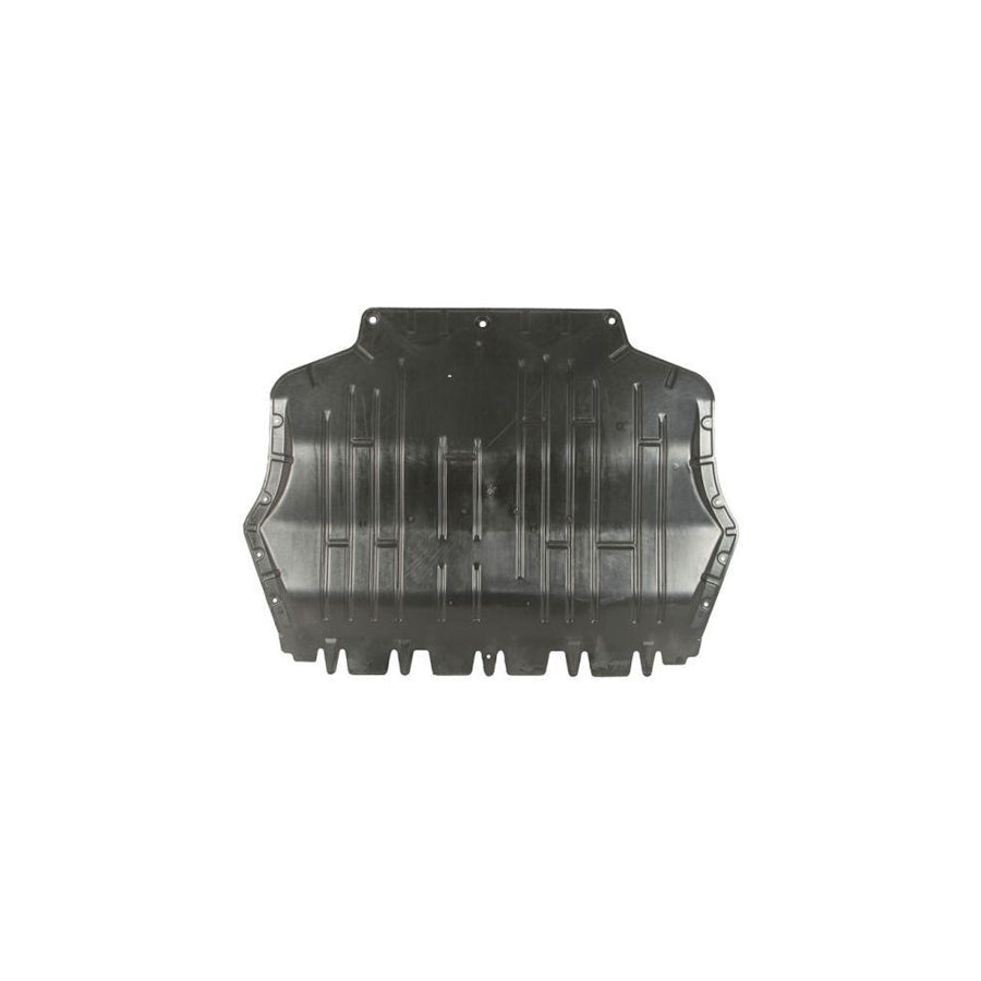 Blic 6601-05-0000004Q Engine Cover