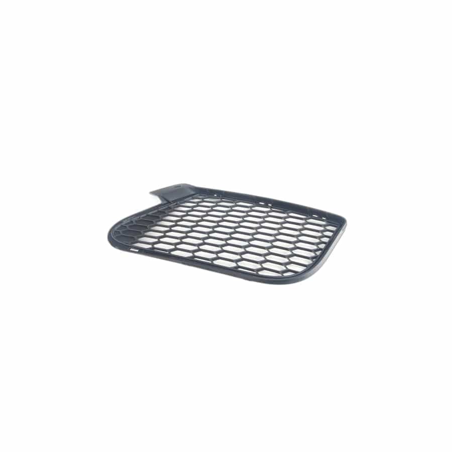 Genuine BMW 51117205578 E70 E71 Open Grid, Right (Inc. X5 M & X6 M) | ML Performance UK Car Parts