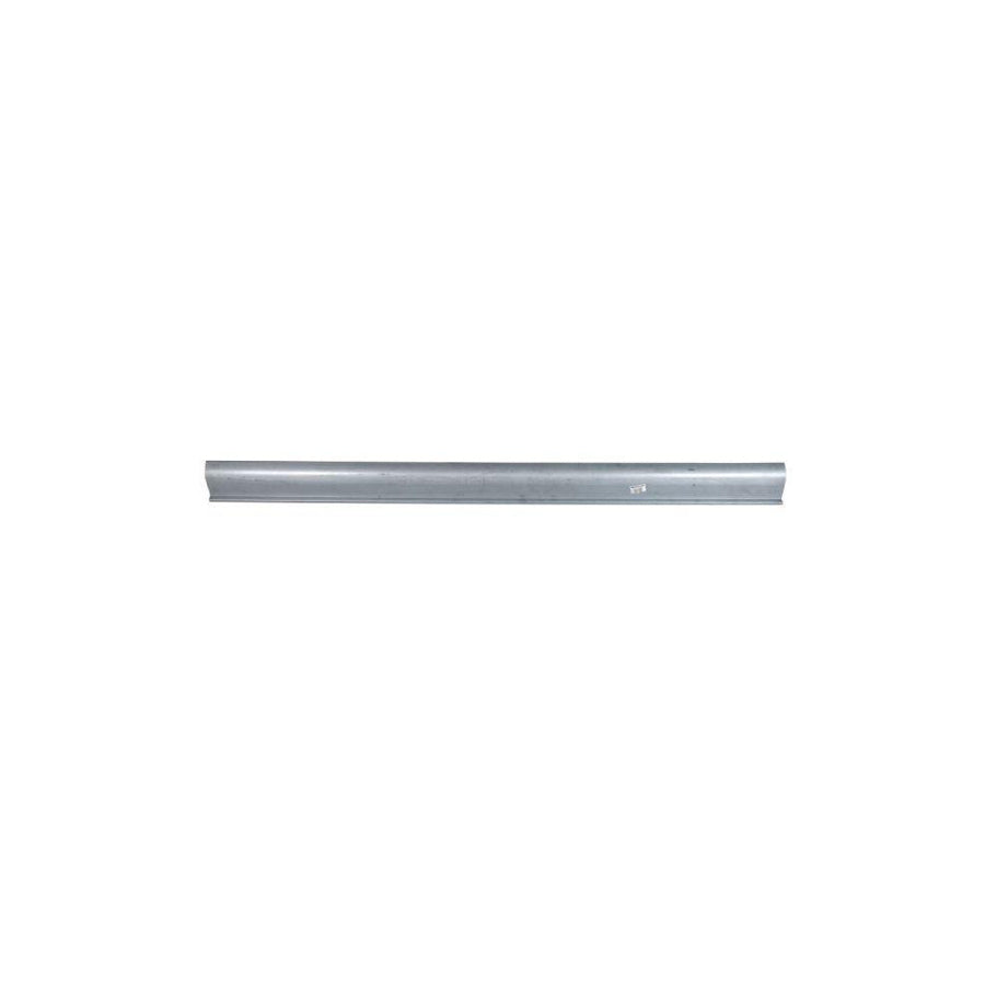 Blic 6505-06-3294015P Rocker Panel For Kia Sedona I (Gq)