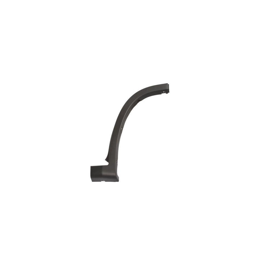 Blic 5703-08-2097374P Trim / Protective Strip, Mudguard