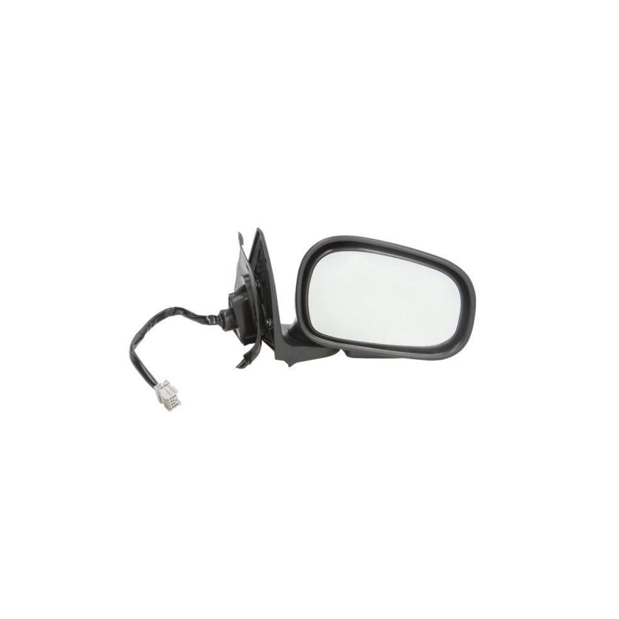 Blic 5402-04-1121641 Wing Mirror