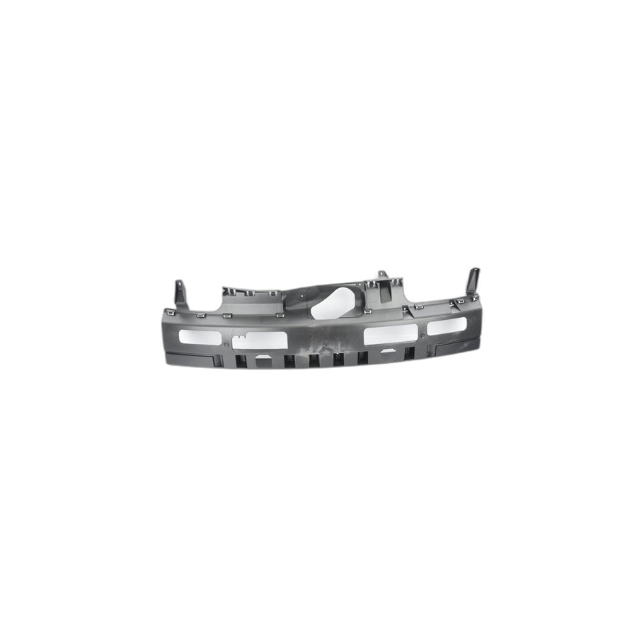 Genuine BMW 51123400942 E83 Insert, Bumper Rear Center (Inc. X3) | ML Performance UK Car Parts