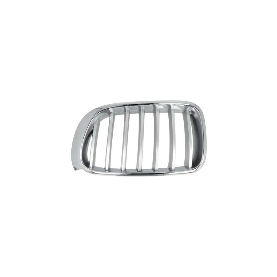 Blic 6502-07-00939955P Radiator Grille