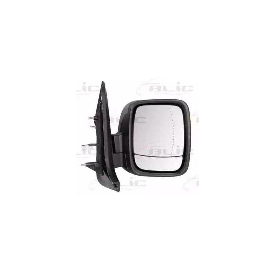 Blic 5402-04-2002026P Wing Mirror