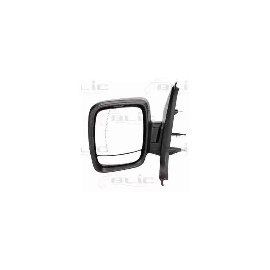 Blic 5402-04-2002025P Wing Mirror