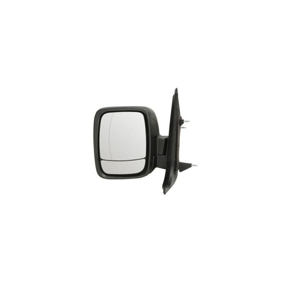 Blic 5402-04-2002023P Wing Mirror