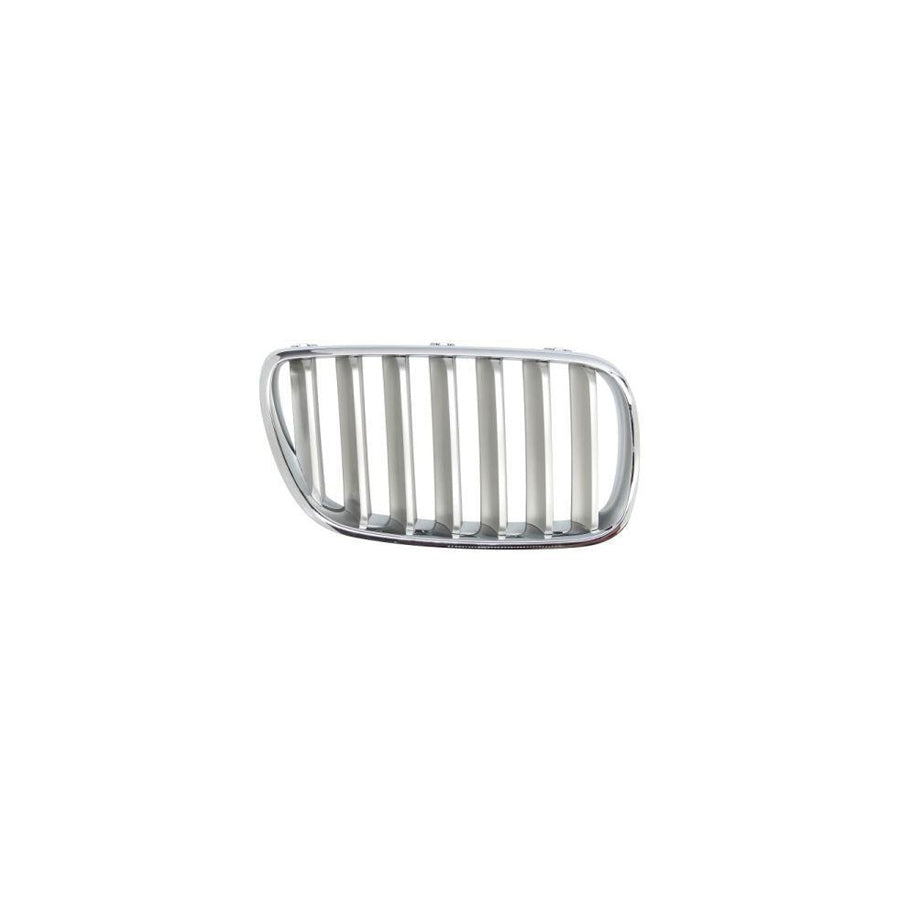 Blic 6502-07-00939940P Radiator Grille For BMW X3 (E83)