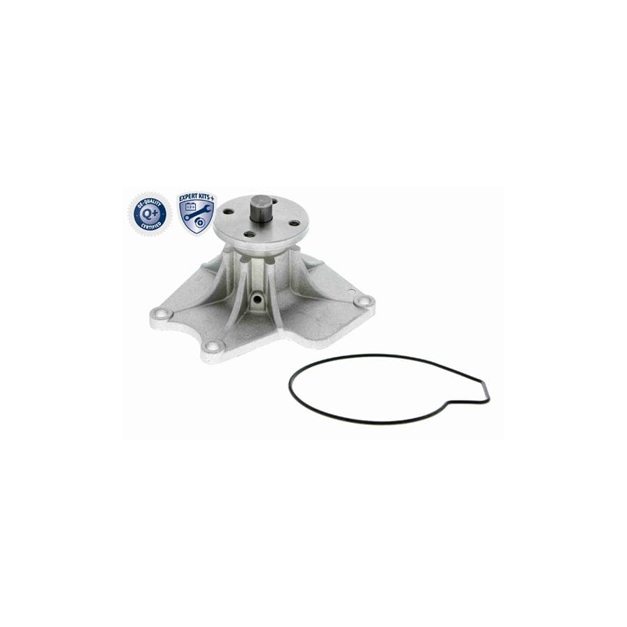 Ackoja A37-50002 Water Pump | ML Performance UK