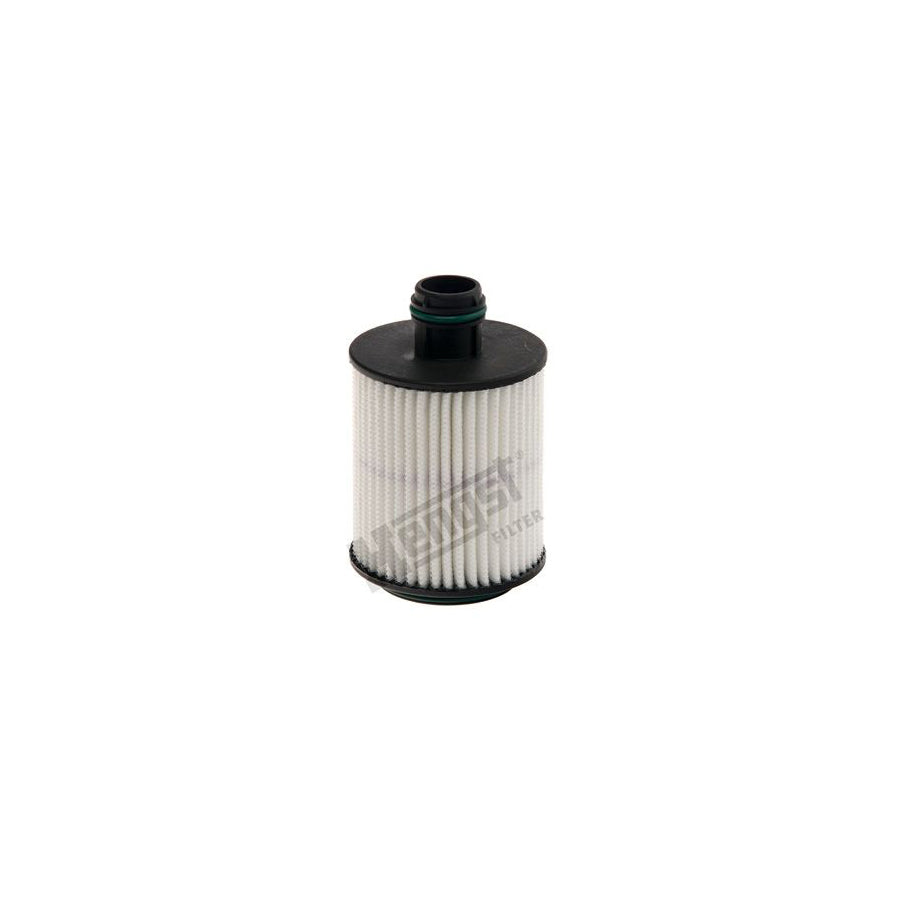 Hengst Filter E124H01 D202 Oil Filter