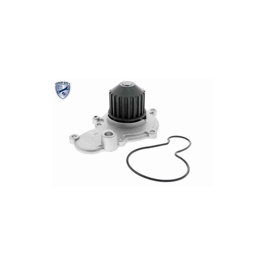 Ackoja A37-50001 Water Pump | ML Performance UK