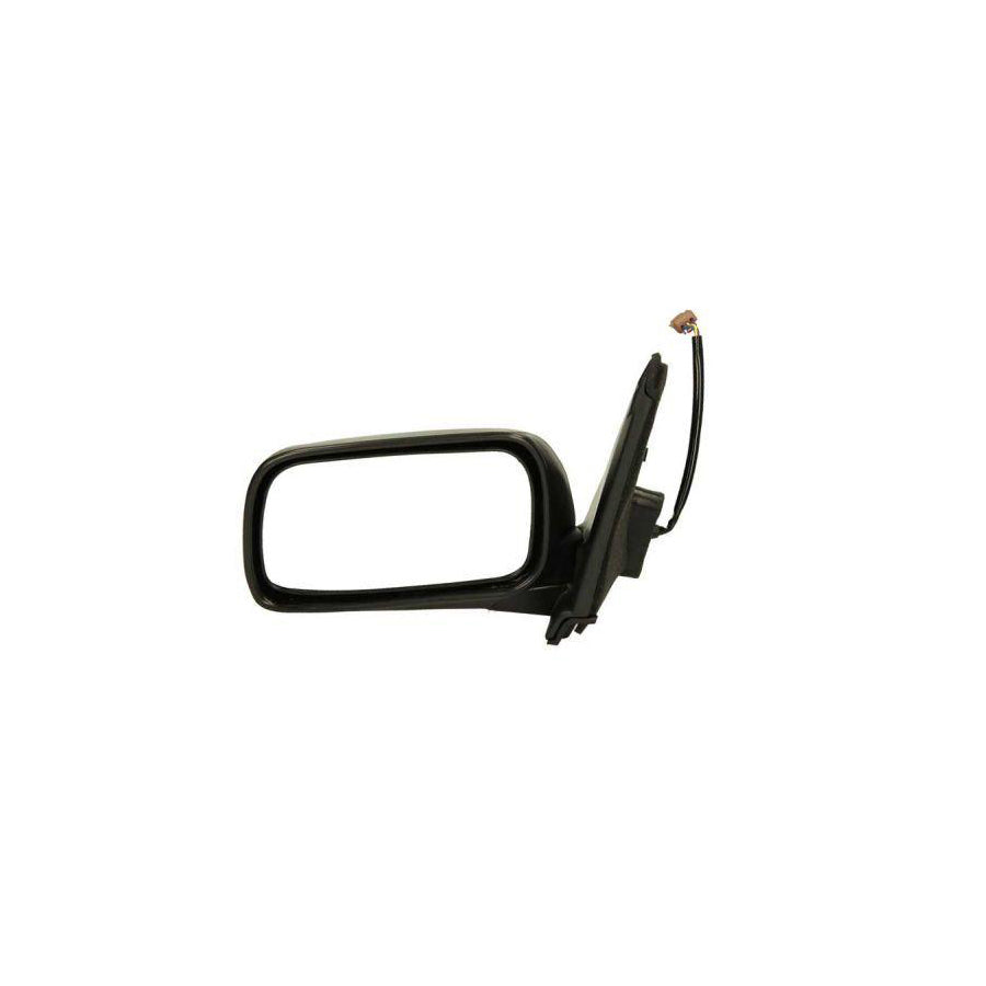 Blic 5402-04-1121829 Wing Mirror For BMW 3 Series