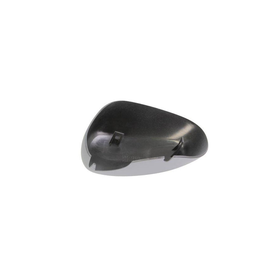 Blic 6103-01-1312179P Housing, Outside Mirror For Renault Modus / Grand Modus (F, Jp)