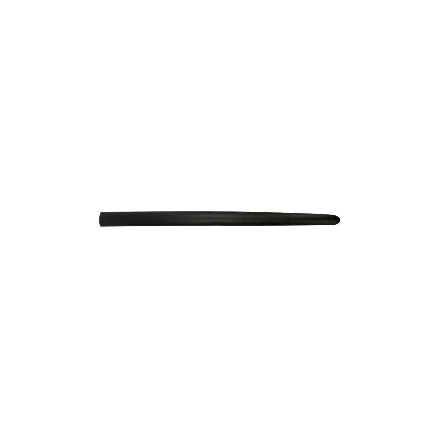 Blic 5703-04-5507571P Door Molding For Peugeot 206