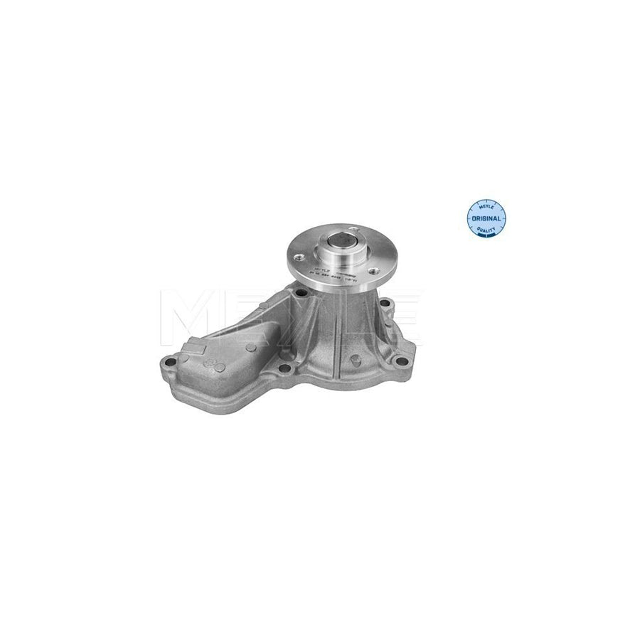 Meyle 31-13 220 0012 Water Pump