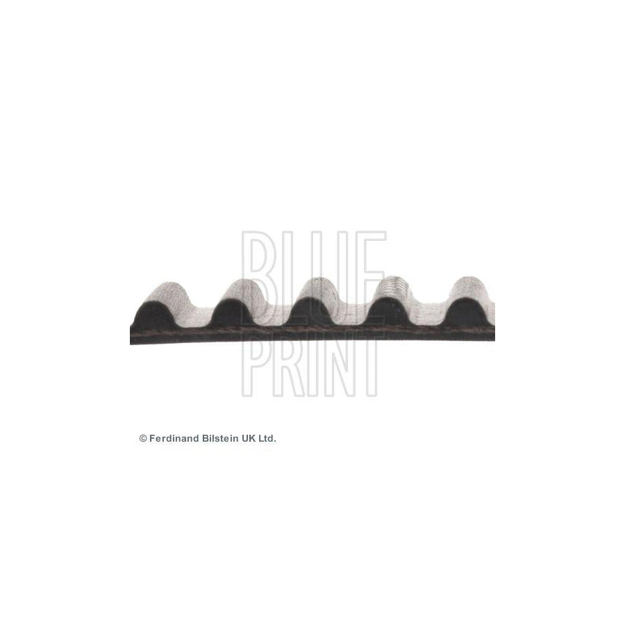 Blue Print ADC47519 Timing Belt