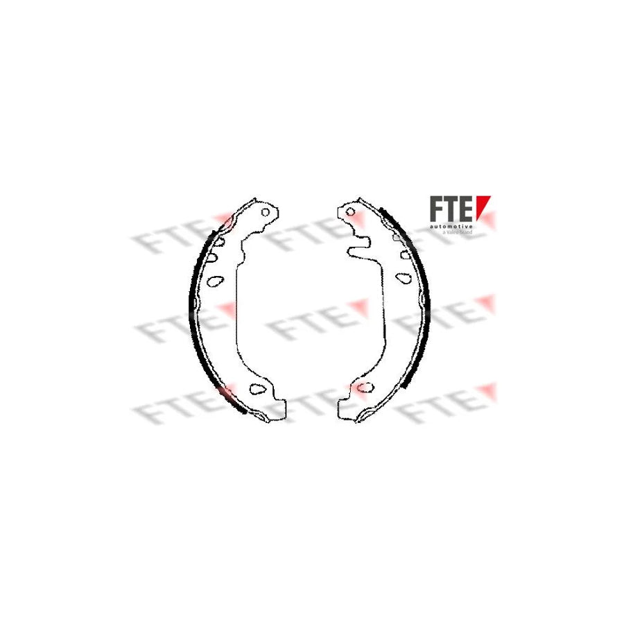 Fte 9100024 Brake Shoe Set | ML Performance UK Car Parts