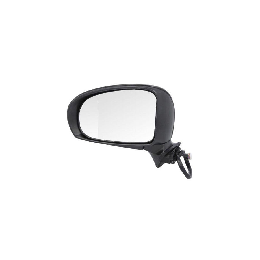 Blic 5402-19-2002509P Wing Mirror For Toyota Prius