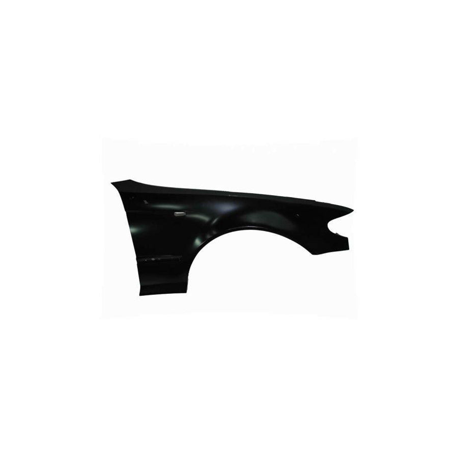 Blic 6504-04-0061316P Wing Fender For BMW 3 Series