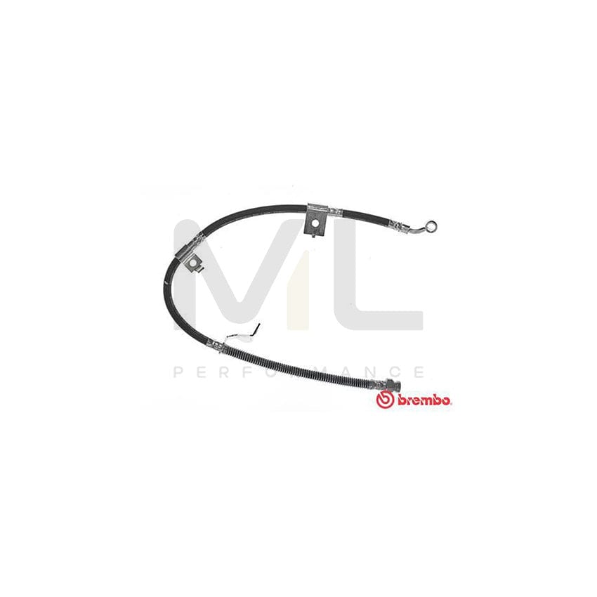 BREMBO T 30 084 Brake Hose 715mm, F10X1 | ML Performance Car Parts