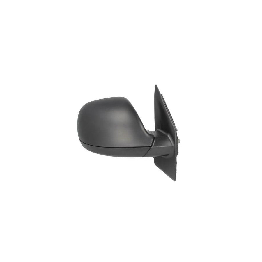 Blic 5402-01-039364P Wing Mirror