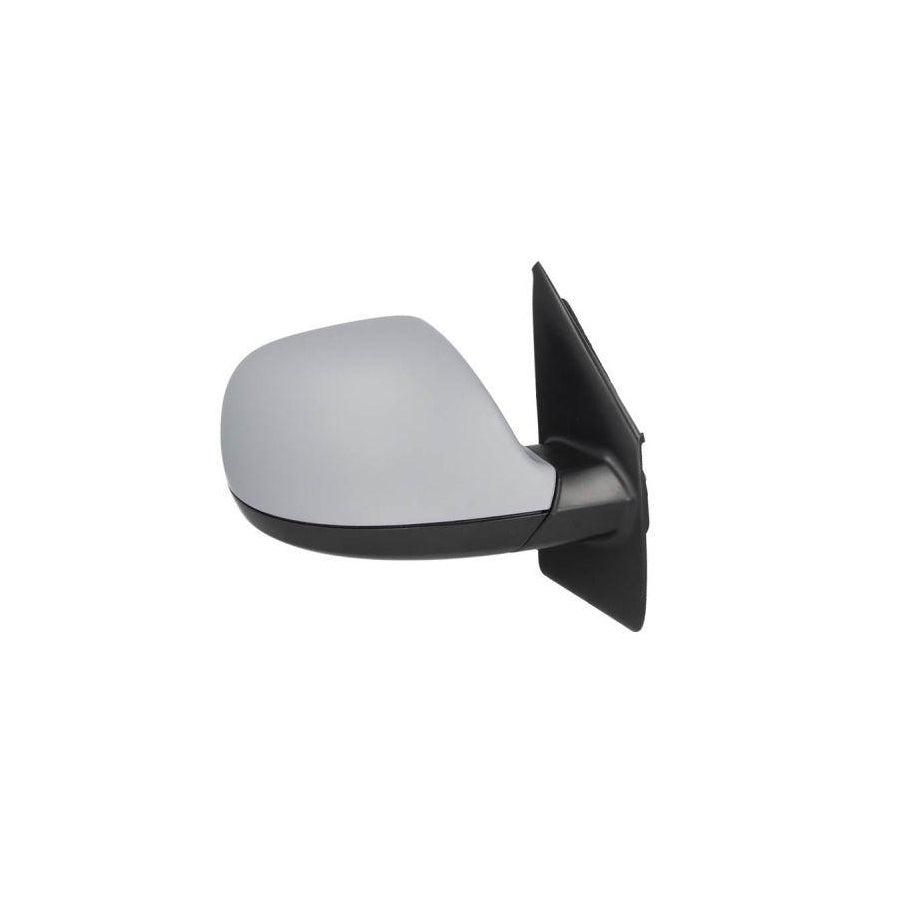 Blic 5402-01-039362P Wing Mirror