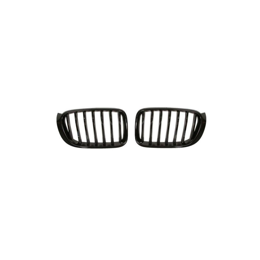 Blic 6502-07-0093999P Radiator Grille