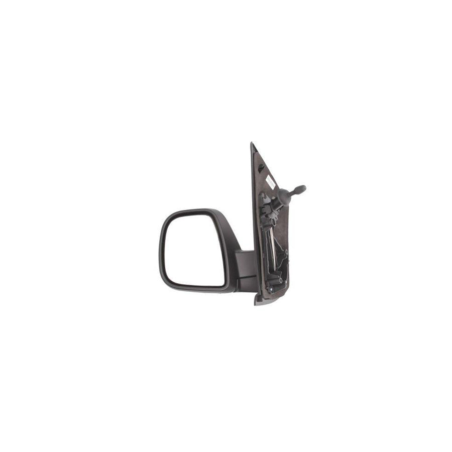 Blic 5402-04-2103391P Wing Mirror