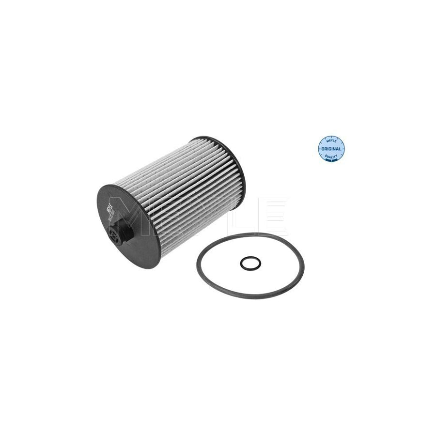 Meyle 514 323 0008 Fuel Filter