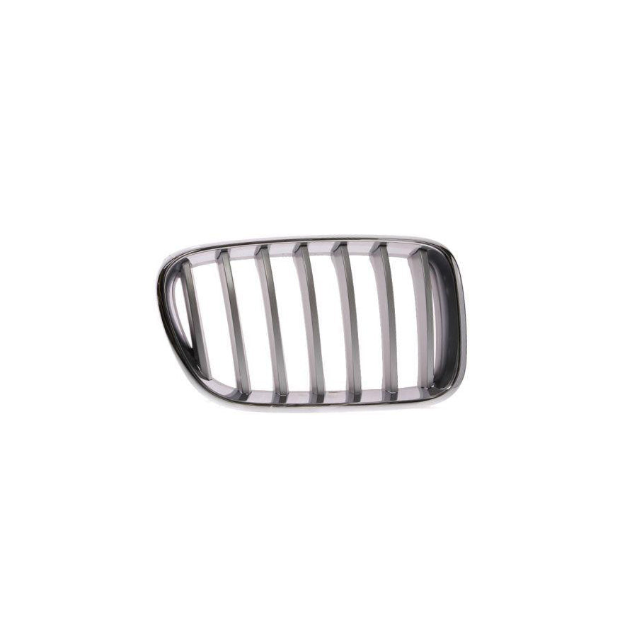 Blic 6502-07-0093998P Radiator Grille