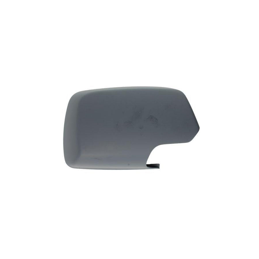 Blic 6103-01-1312524P Housing, Outside Mirror For BMW X3 (E83)