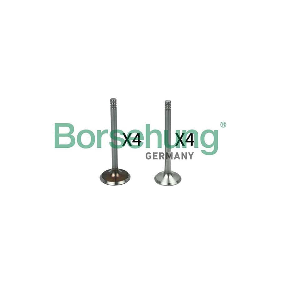 Borsehung B18144 Valve