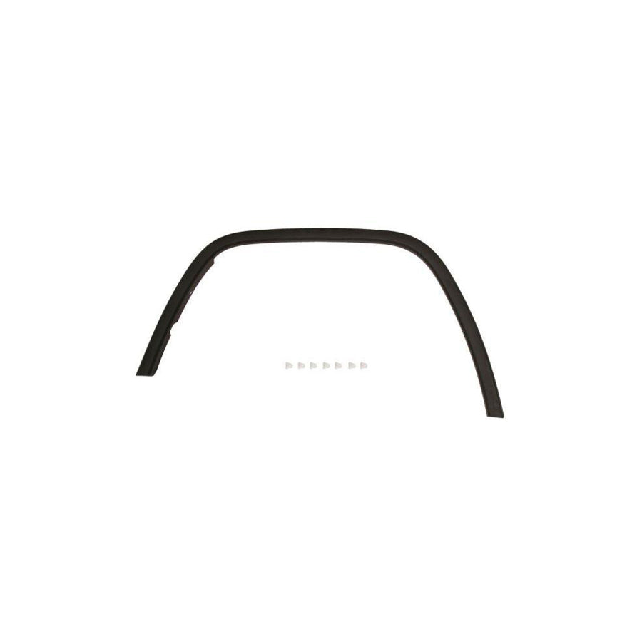 Blic 5703-08-3206372P Trim / Protective Strip, Mudguard For Jeep Grand Cherokee IV (Wk, Wk2)