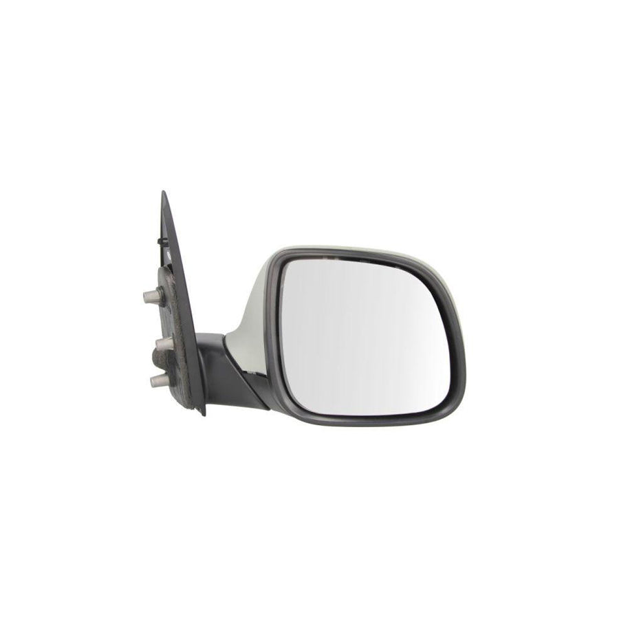 Blic 5402-01-2002562P Wing Mirror