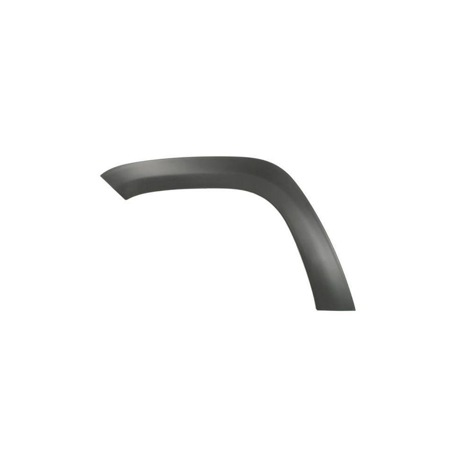 Blic 5703-08-3206371Pp Trim / Protective Strip, Mudguard For Jeep Grand Cherokee IV (Wk, Wk2)