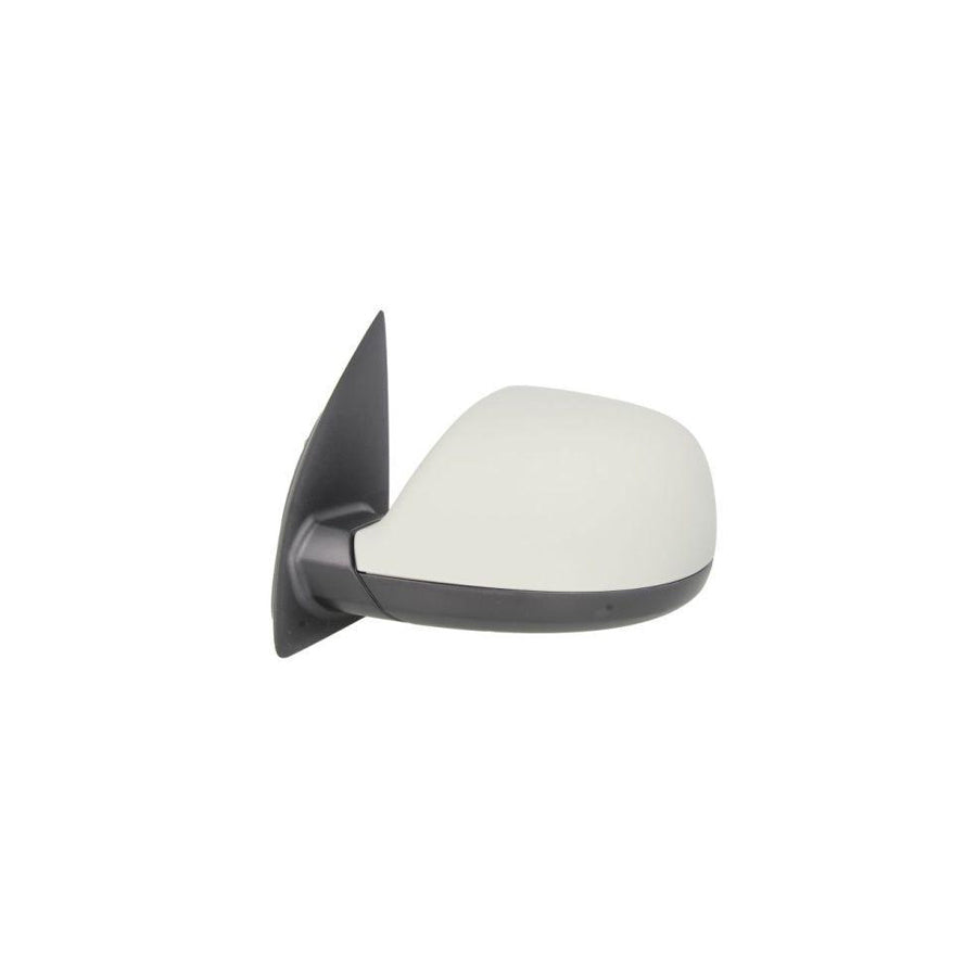 Blic 5402-01-2002561P Wing Mirror