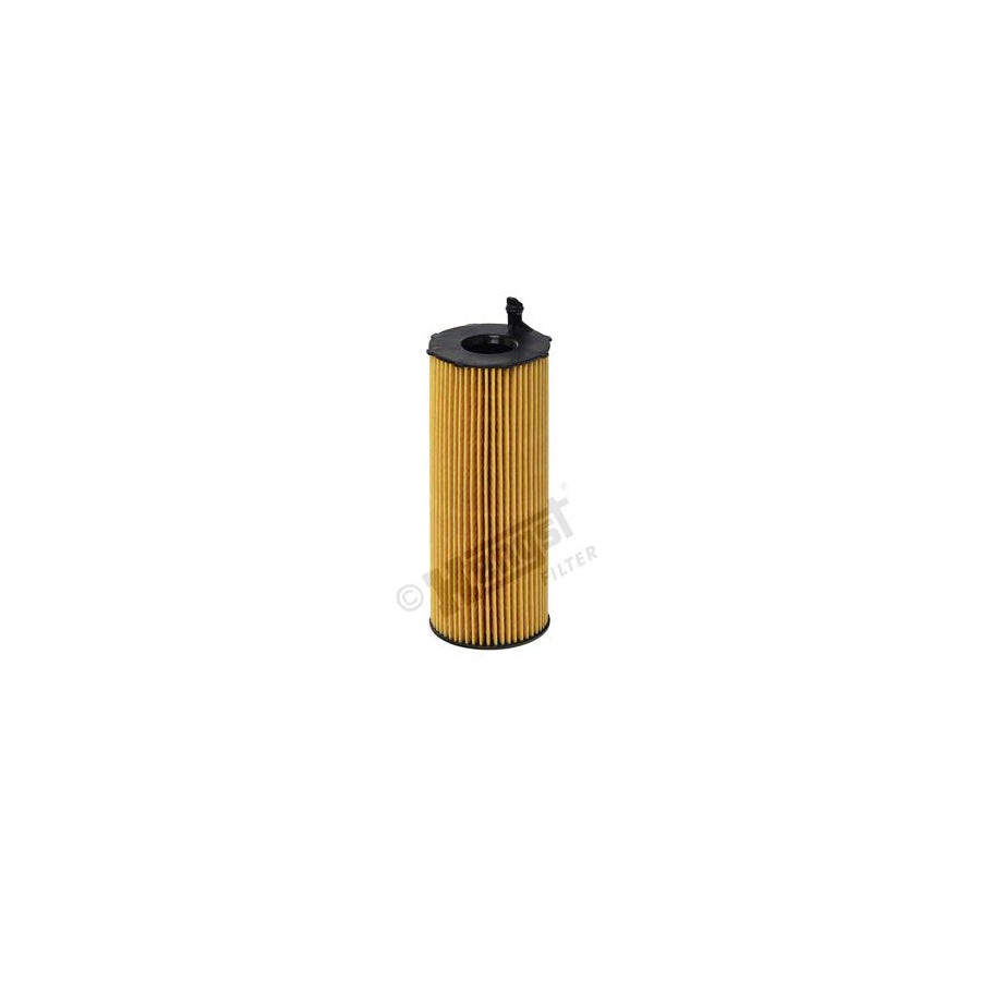 Hengst Filter E73H D134 Oil Filter