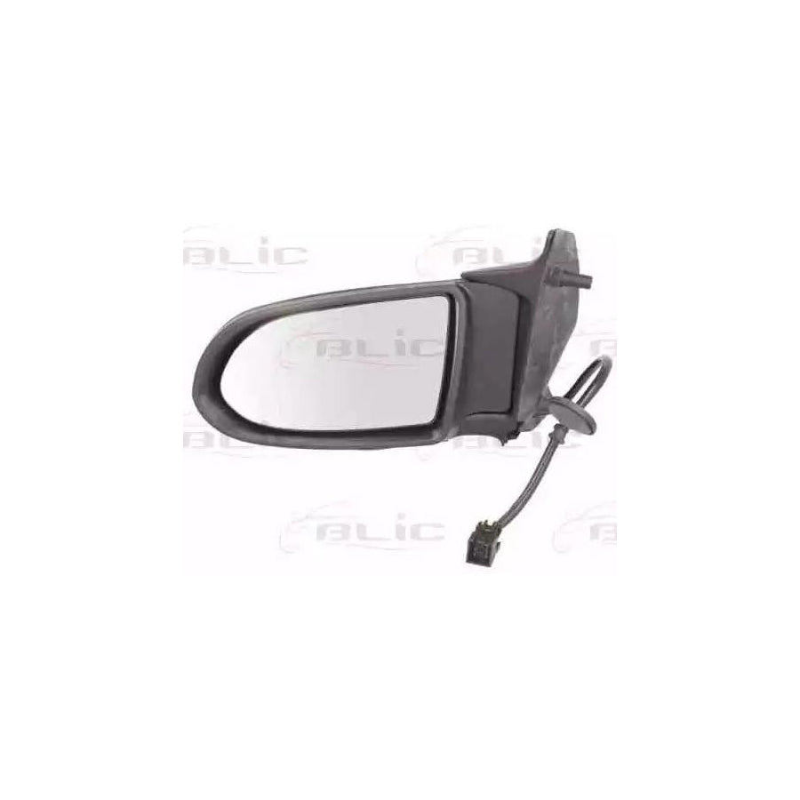 Blic 5402-04-2002041P Wing Mirror For Opel Zafira A (T98)