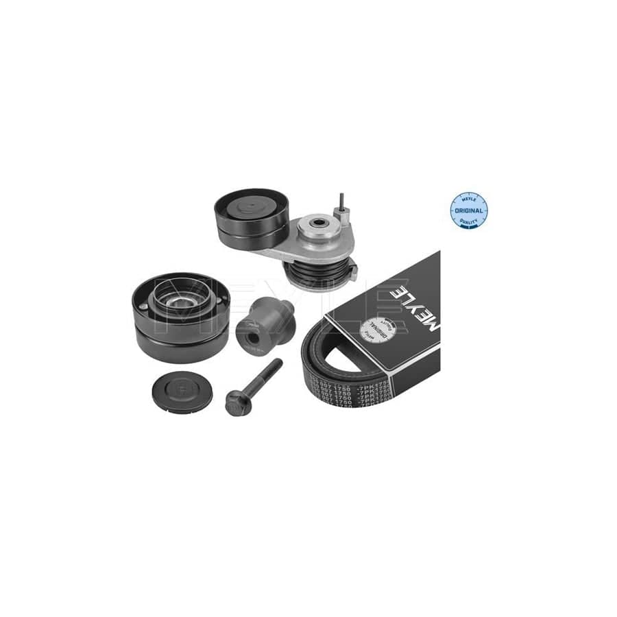 Meyle 16-14 030 0008 Engine Mount