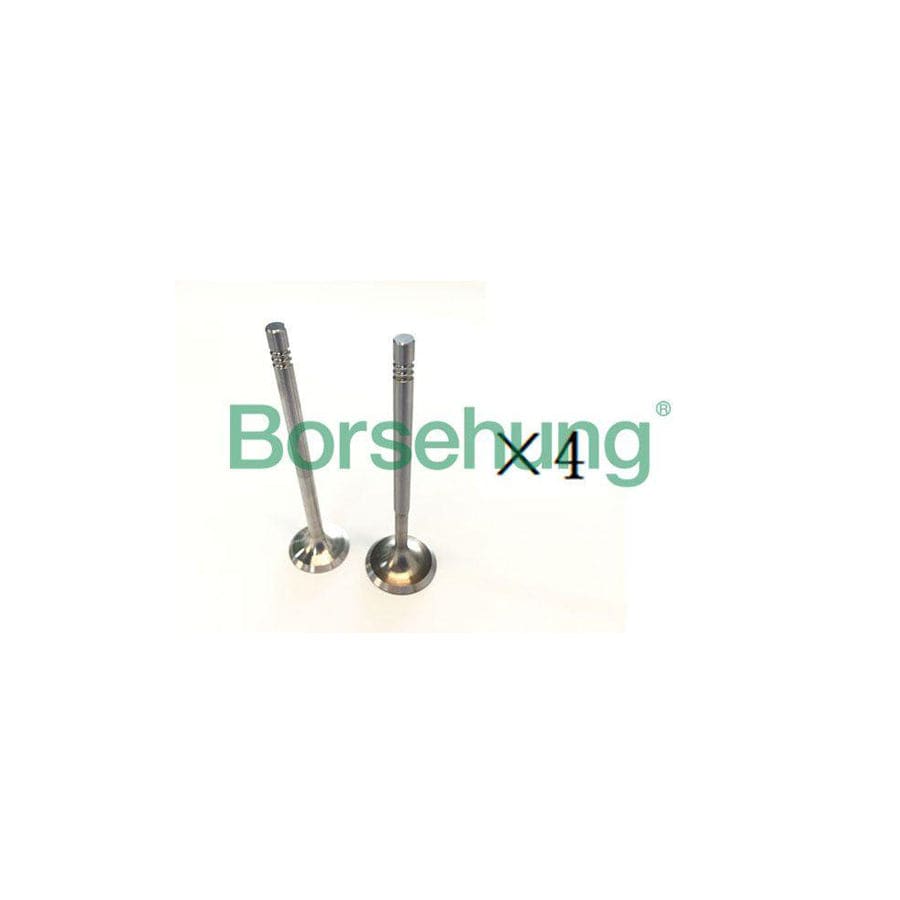 Borsehung B18193 Exhaust Valve