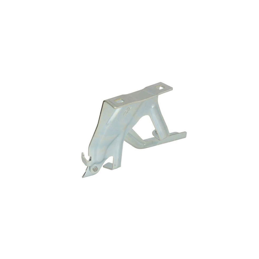 Blic 6802-00-1602453P Hinge, Bonnet