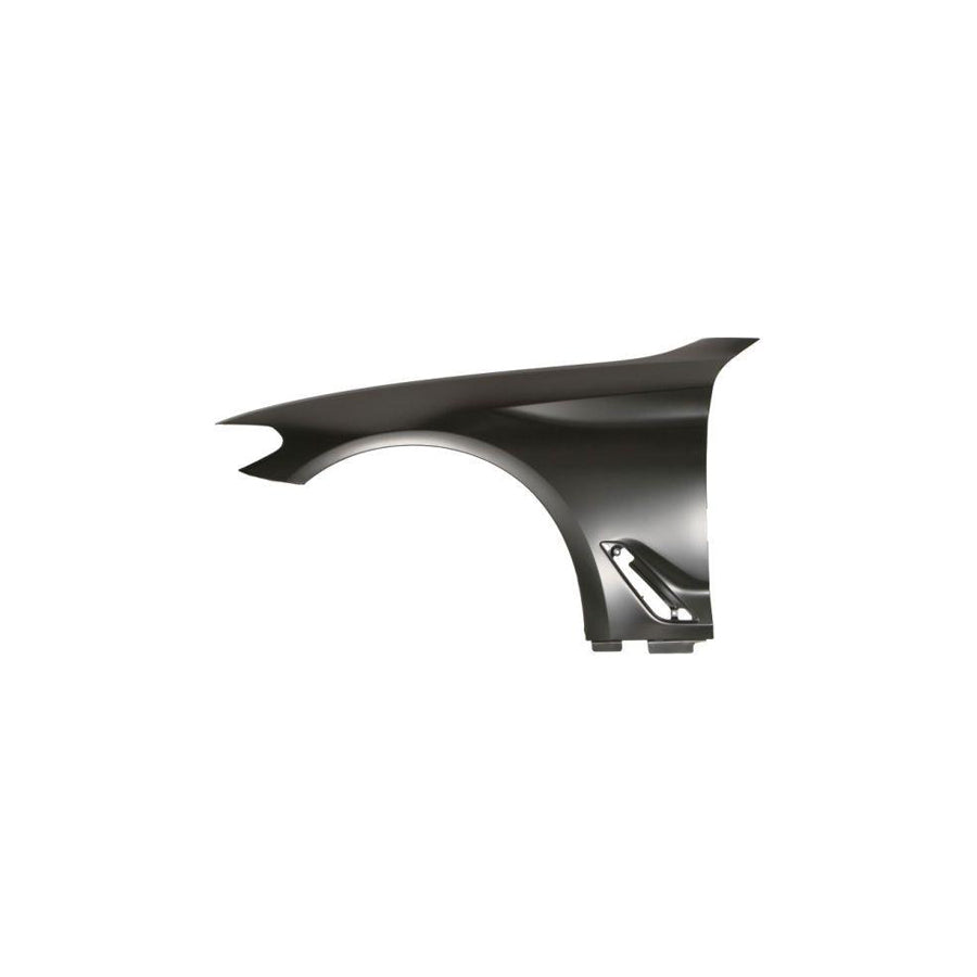 Blic 6504-04-0068313P Wing Fender For BMW 5 Series