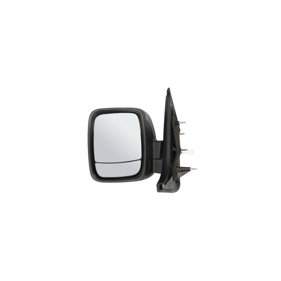 Blic 5402-04-2002029P Wing Mirror